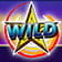 Wild Symbol